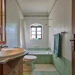 Serene & Penthouses In Apartmán